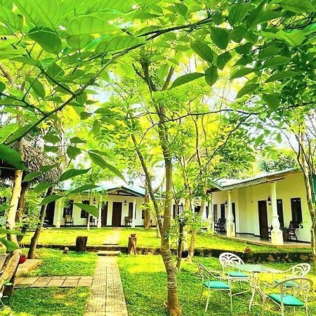 Kingfisher Resort Сигирия Экстерьер фото