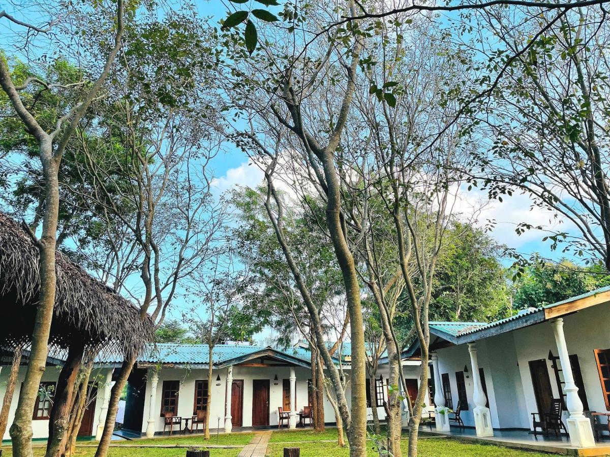 Kingfisher Resort Сигирия Экстерьер фото
