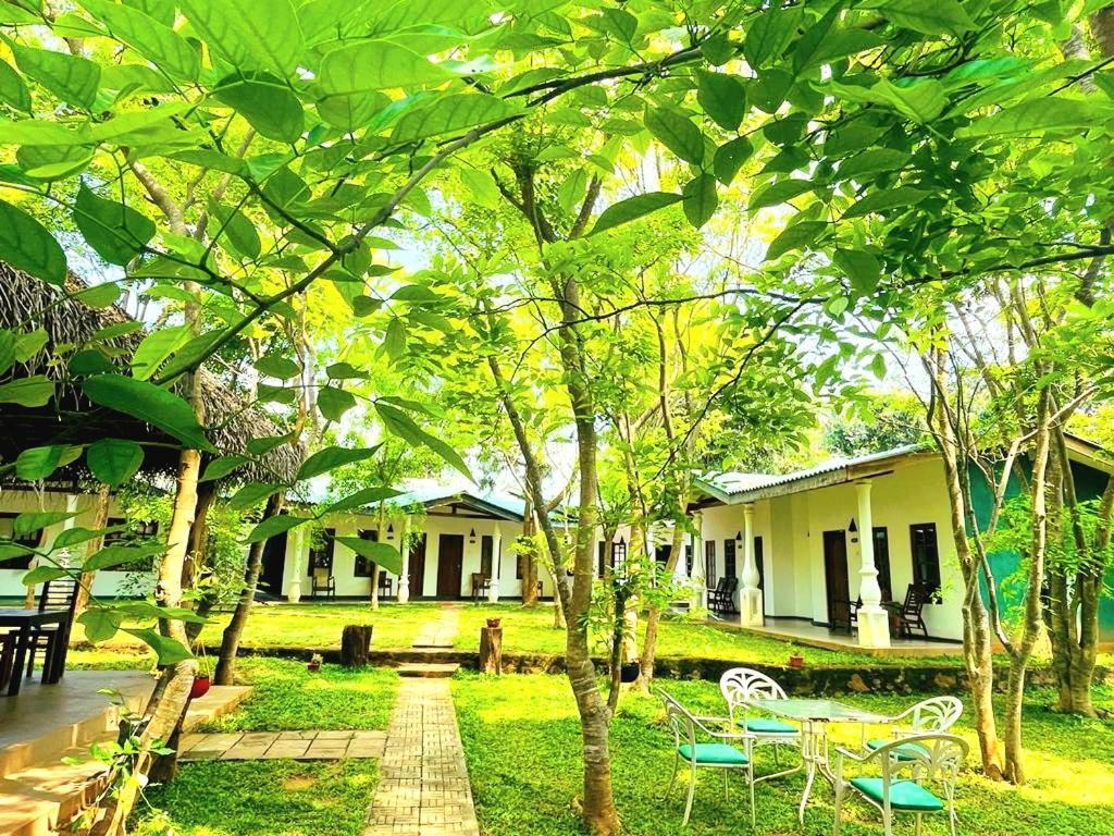 Kingfisher Resort Сигирия Экстерьер фото