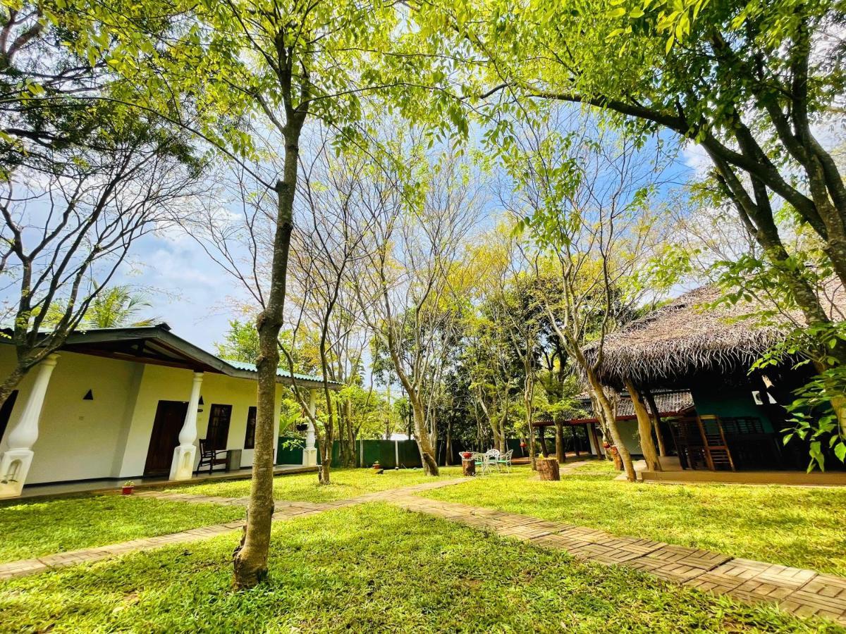 Kingfisher Resort Сигирия Экстерьер фото