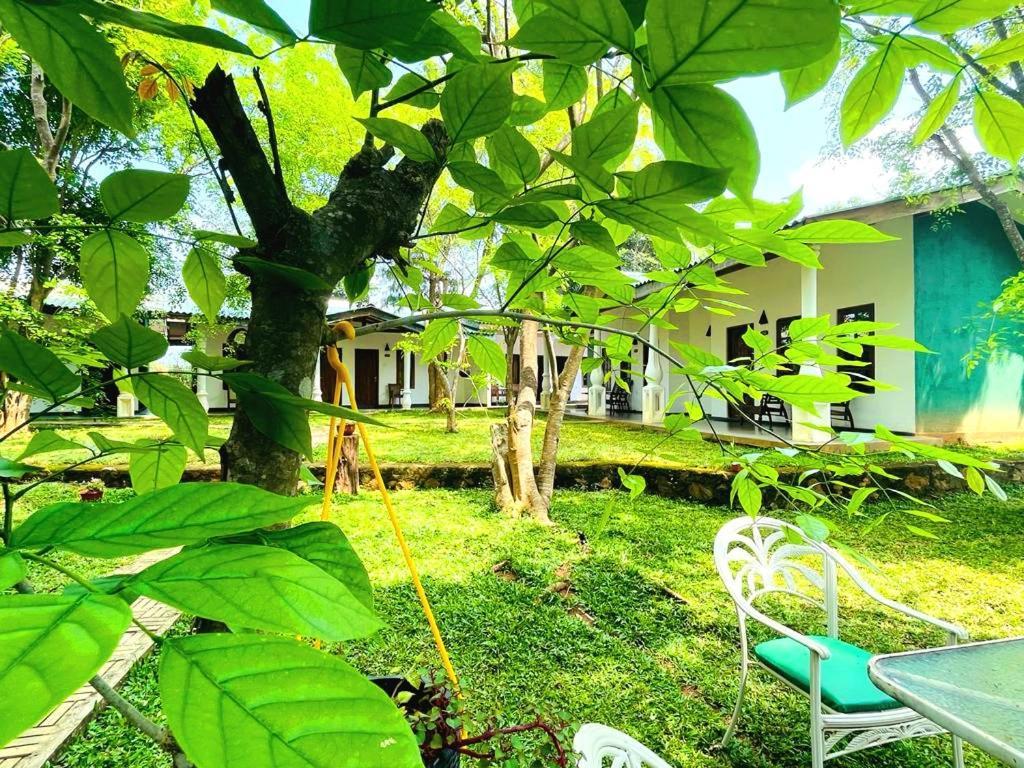 Kingfisher Resort Сигирия Экстерьер фото