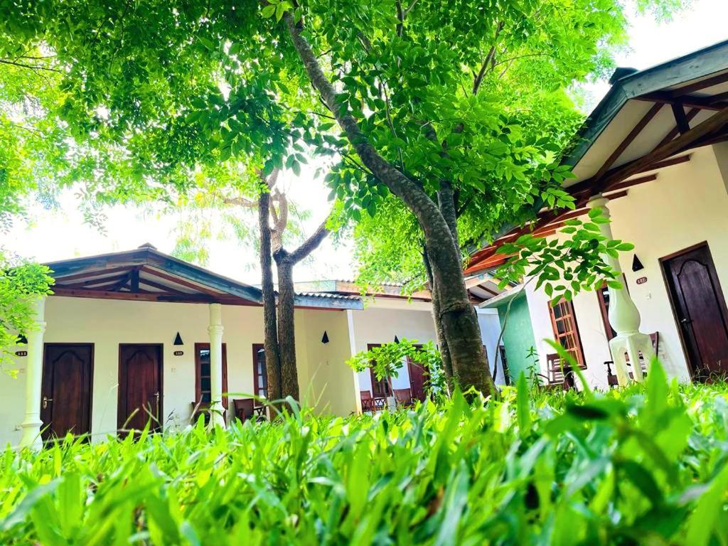 Kingfisher Resort Сигирия Экстерьер фото